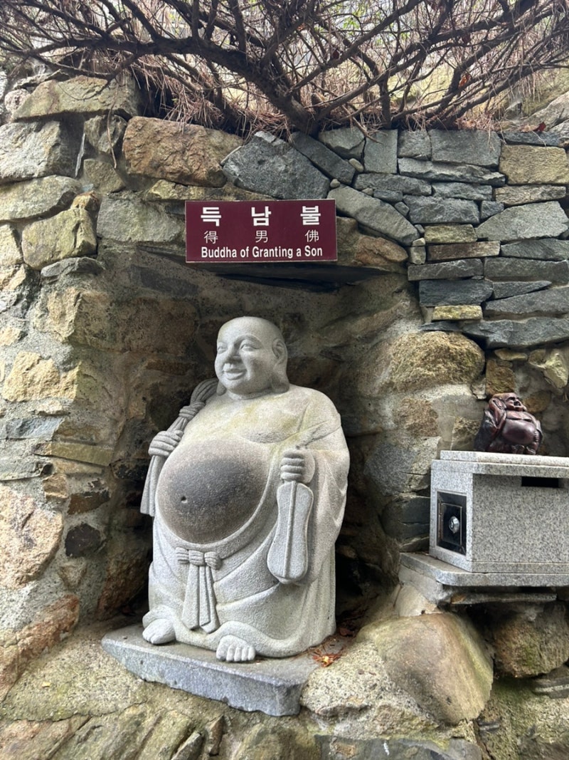 부산 해동용궁사 주차·입장료 총정리｜기장 가볼만한곳 득남불 소원까지
