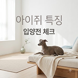 “예쁜데 키우기 어렵다고?” 이탈리안 그레이하운드 털빠짐부터 골절·수명·분양가까지 현....