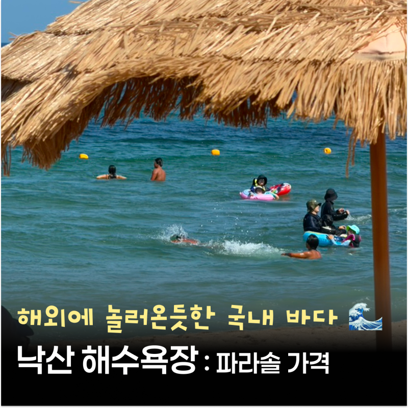주차비 무료라 더 좋았던 낙산해수욕장｜파라솔 가격·시설 이용료 정리