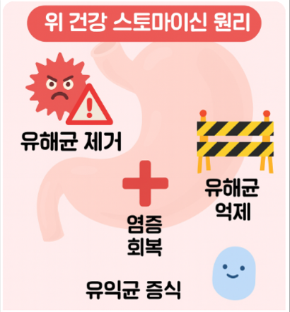 헬리코박터균 자연치유 가능 증상별 대처법 TOP3