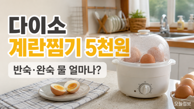 다이소 계란찜기 5천원, 반숙·완숙 물양부터 사용법까지 간단 정리