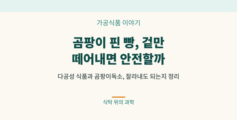 곰팡이 핀 빵, 겉만 떼어내면 안전할까?
