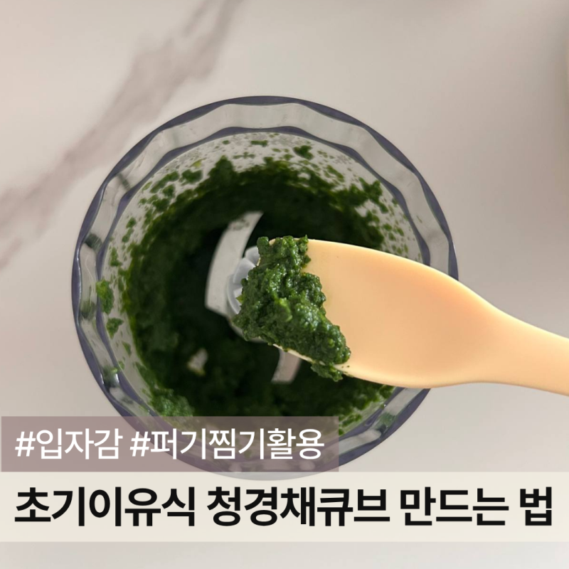 청경채 이유식 만드는 방법 | 초기 이유식 손질법과 퍼기 찜기 찌는 법