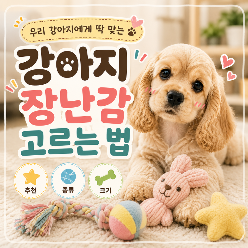 강아지 장난감 고르는 법(추천, 종류, 크기)