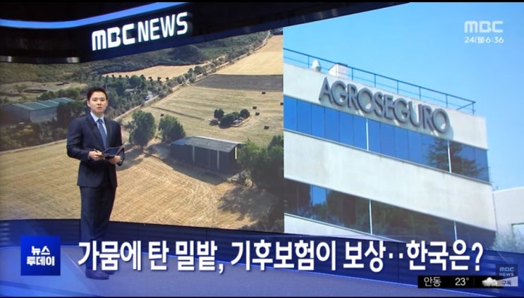 가뭄에 탄 밀밭, 기후보험이 보상‥한국은? (MBC)