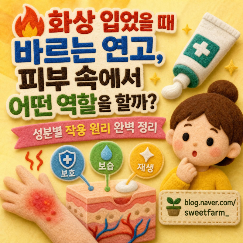화상 입었을 때 바르는 연고, 피부 속에서 어떤 역할을 할까? (성분별 작용 원리 완벽 정리)