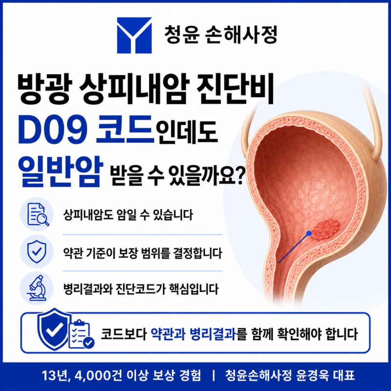 방광 상피내암 진단비, D09 코드와 일반암 보장 기준 총정리