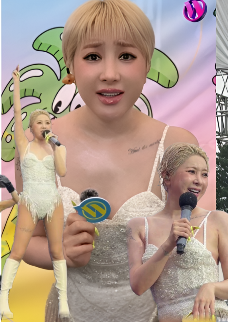 서인영 워터밤 46kg 다이어트 비법, 뱃살 뺀 단백질 식단과 관리법