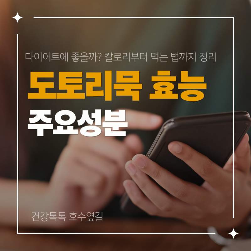 도토리묵 효능, 다이어트에 좋을까? 칼로리부터 먹는 법까지 정리