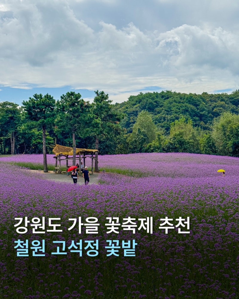2026 철원 고석정 꽃밭 가을 꽃축제 개장일 입장료 주차