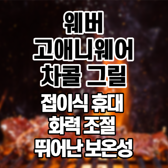 [웨버] 고애니웨어 차콜 그릴, 캠핑 바비큐를 간편하게 즐기는 휴대용 숯불 그릴