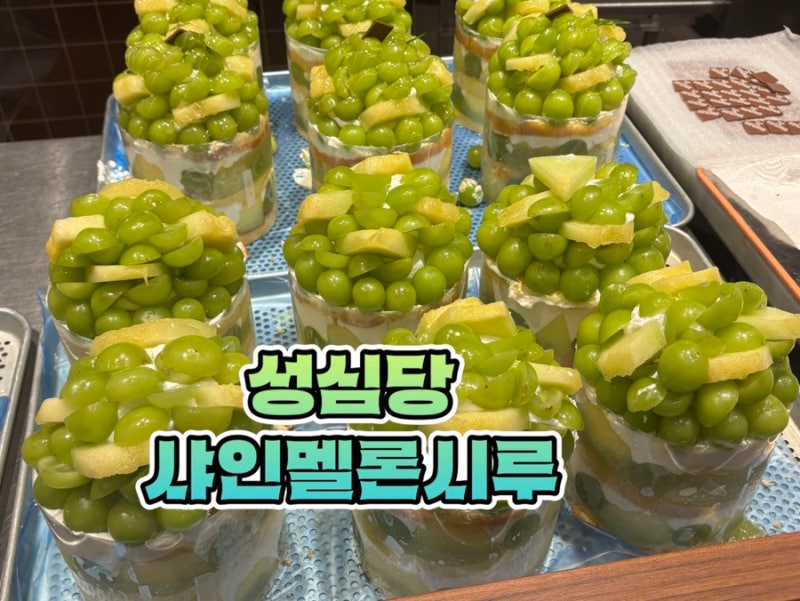 대전 성심당 샤인멜론시루 롯데점 1편 | 구매방법, 웨이팅, 오픈런