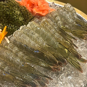 나트랑 짜오마오2 생새우회 맛집, 하노이 생맥주까지 맛있었던 곳 GLN 결제 할인 예약 방법.