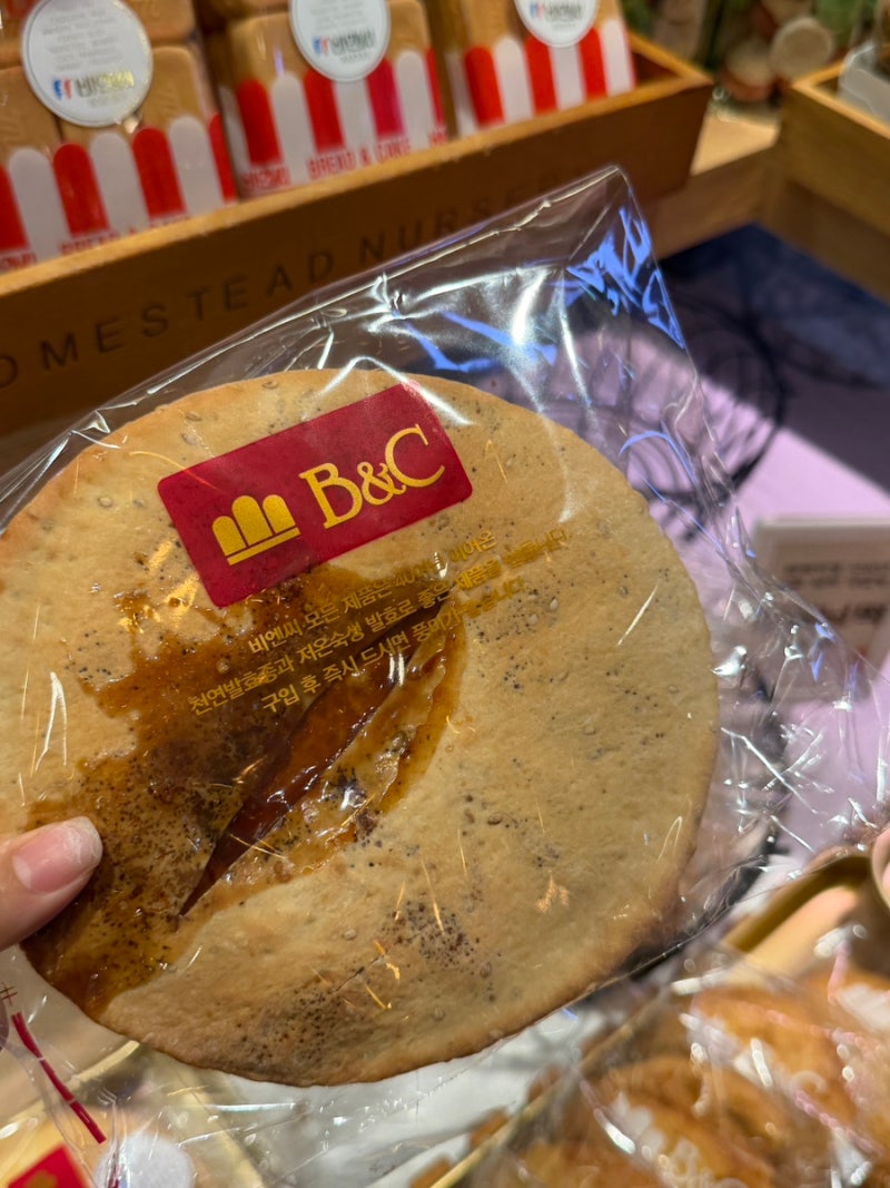 부산역 디저트 맛집 포장 KTX 역사 내 먹거리 비엔씨제과