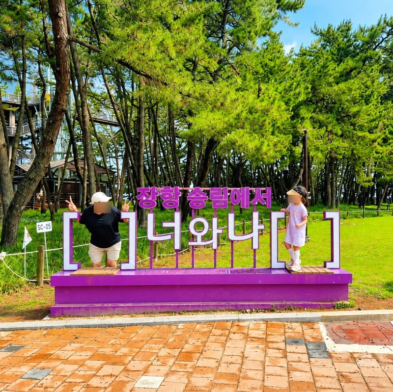 [서천 8월 축제] 2026 장항 맥문동 꽃 축제 기간 일정 맥문동 개화 실시간