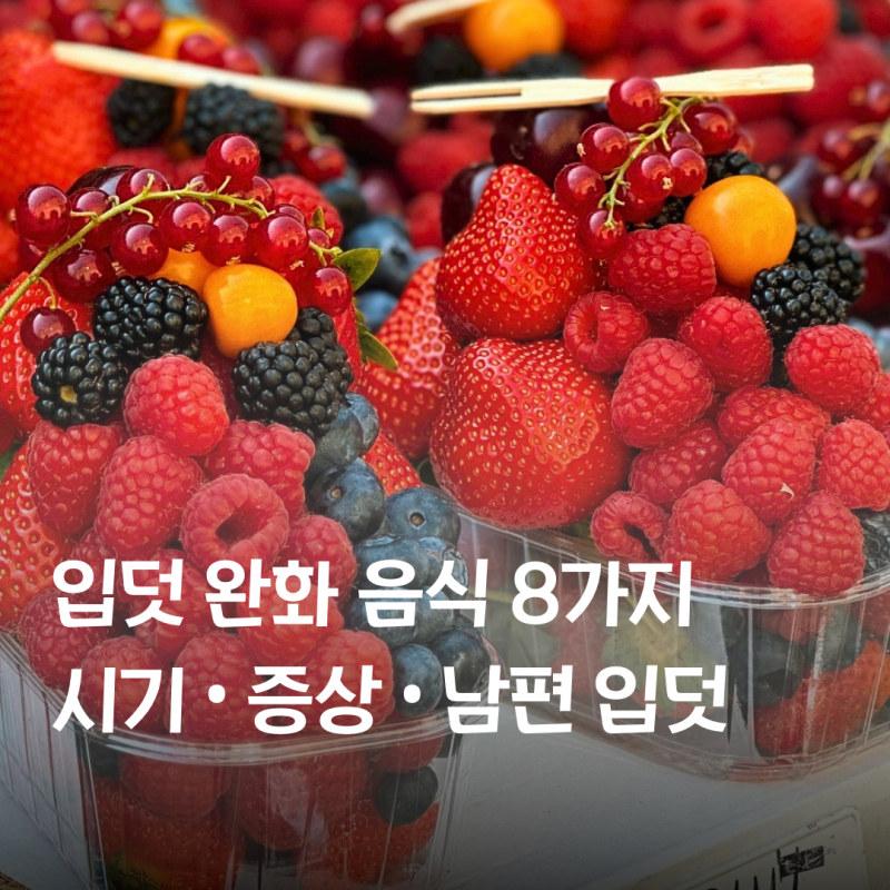 실제 먹은 입덧 완화 음식 8가지｜입덧 시기·증상부터 남편 입덧까지