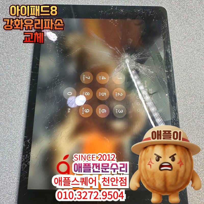 천안 아이패드8 강화유리 교체, 당일수리 후기 (애플스퀘어천안점)