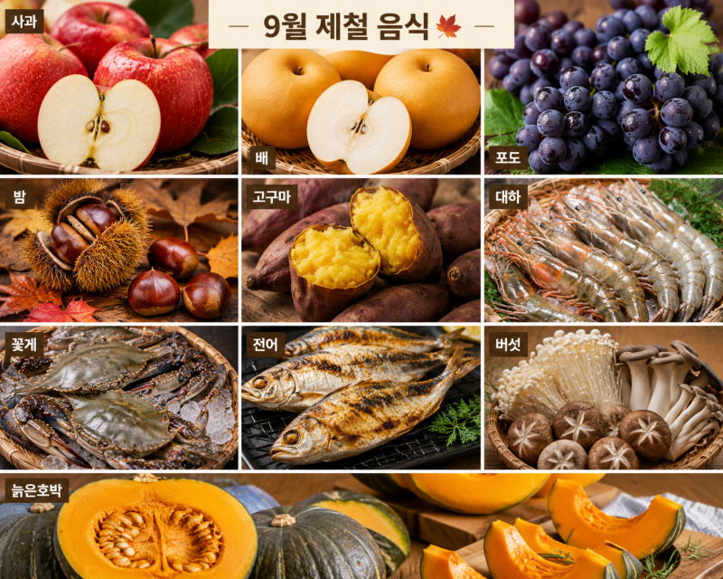 9월 제철 음식 추천 BEST 10