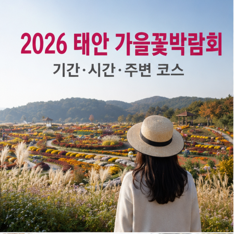 2026 태안 가을꽃박람회｜기간·운영시간·꽃지해수욕장 코스