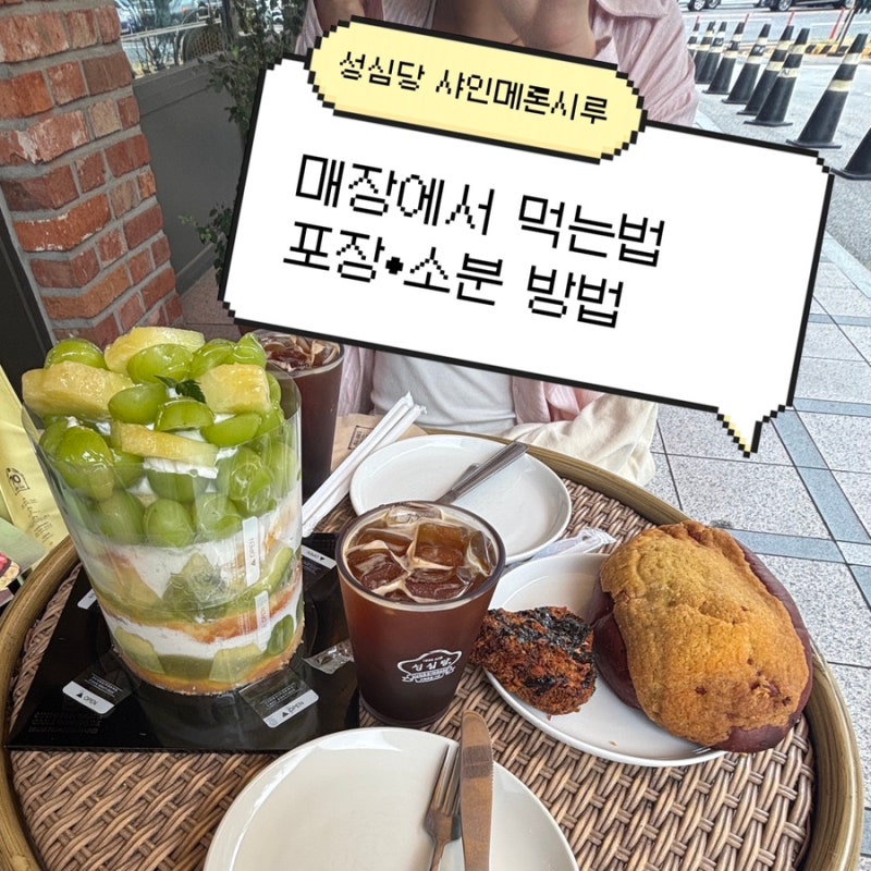 대전 성심당 2편 | 샤인멜론시루 바로 먹는법, 포장, 소분방법
