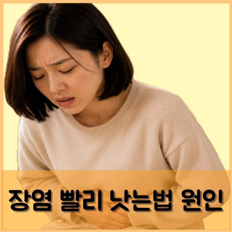 장염 빨리 낫는법 원인 노로바이러스