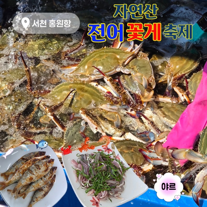 서천 홍원항 전어꽃게축제 가격,주차 실제 방문 후기