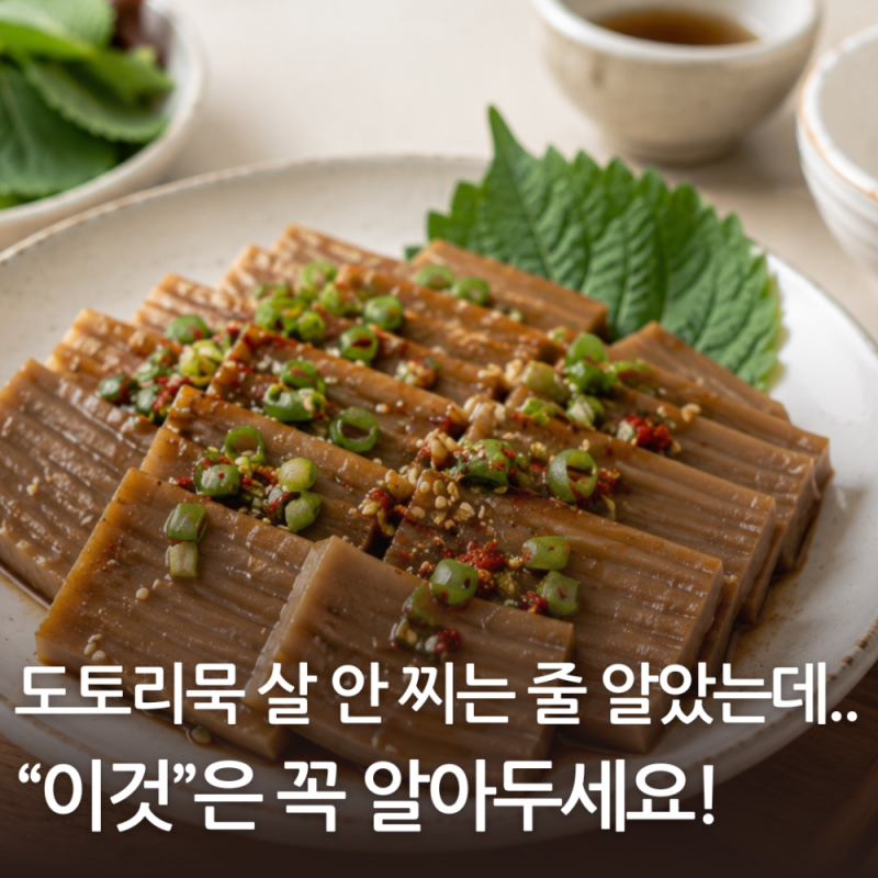 도토리묵 살 안찌는줄 알았는데.. 효능과 "이것" 꼭 알아두세요!