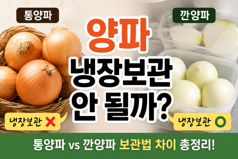 양파 냉장보관하면 안 될까? 깐 양파·통양파 보관법 차이