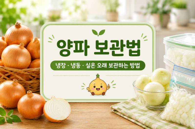 양파 보관법 냉장 냉동 실온 오래 보관하는 방법
