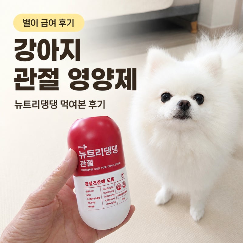 강아지 관절 영양제 뉴트리댕댕 후기, 슬개골 걱정돼 먹여봤어요
