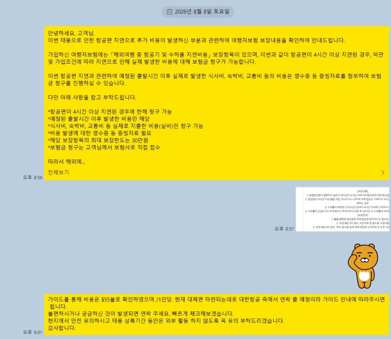 (찐 후기)태풍으로 비행기 결항? 해외 현지 결항 확인부터 비행기 변경까지 실제 후기 #노랑....