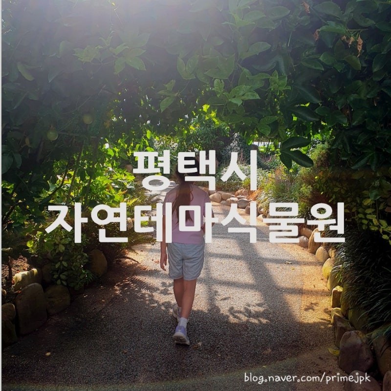 평택 가볼 만한 곳 | 아이와 다시 찾은 평택시자연테마식물원