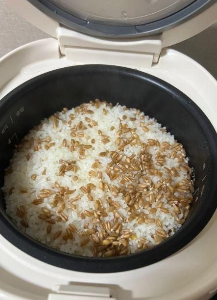 컬러도 기능도 완벽! 테팔 밥솥으로 요리가 즐거워!