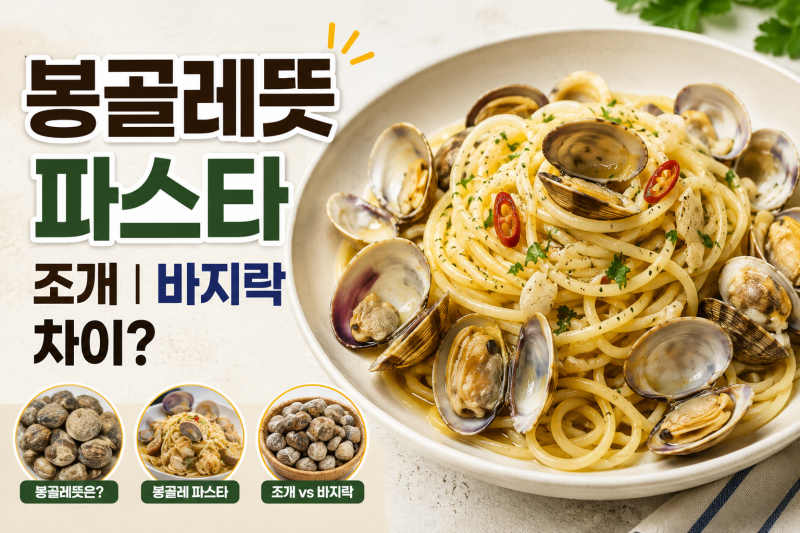 봉골레뜻 파스타 조개 바지락 차이