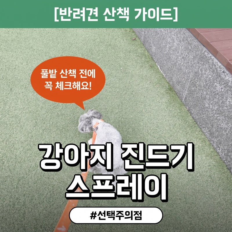 강아지 진드기 퇴치제 해충방지 스프레이 선택주의점
