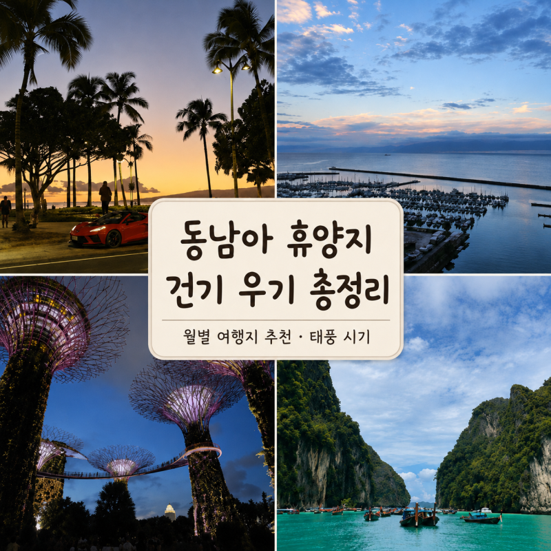 동남아 및 휴양지 건기 우기 총정리, 월별 여행지 추천, 태풍 시기, 직항여부