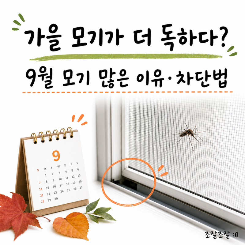 가을 모기 많은 이유, 방충망 틈새부터 막는 집 안 퇴치법