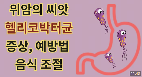 헬리코박터균 60대 위 영양제 증식억제 효과 고르는 법