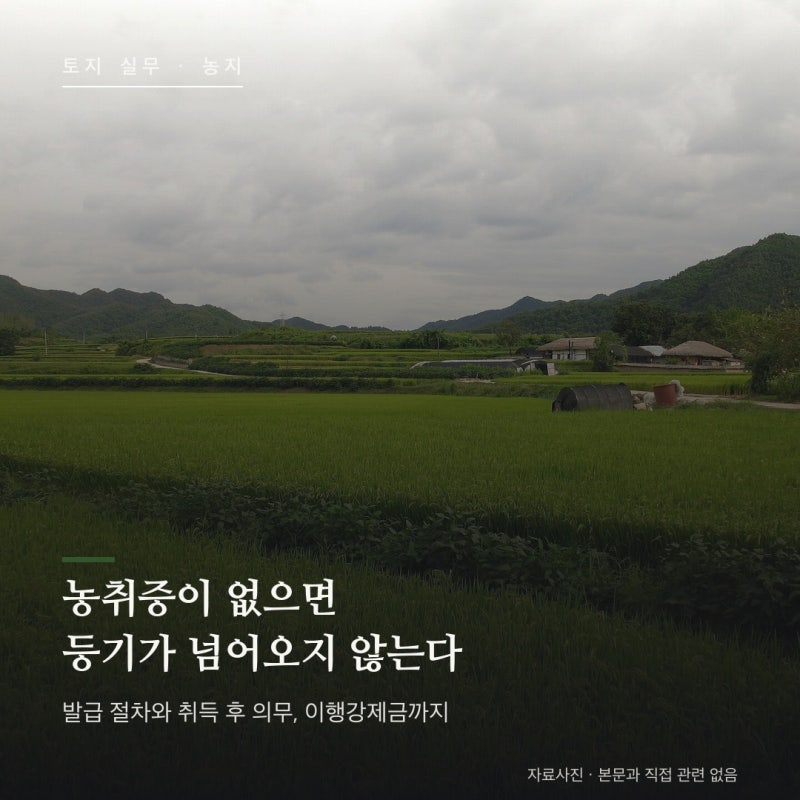 농지취득자격증명 총정리 — 농취증 발급 절차와 취득 후 의무, 이행강제금까지