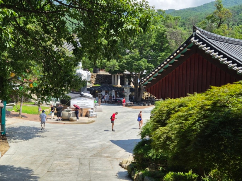 대구여행 가볼만한곳 팔공산 동화사 약사여래대불