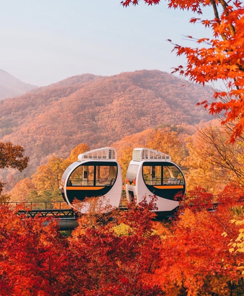 경기 광주 화담숲 단풍명소 예약, 모노레일, 식당, 단풍 시기, 주차 이용 꿀팁