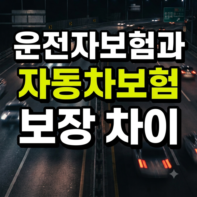 운전자보험 비교사이트 활용 가이드 와 자동차보험 보장 차이부터 필수 특약 체크리스트까....