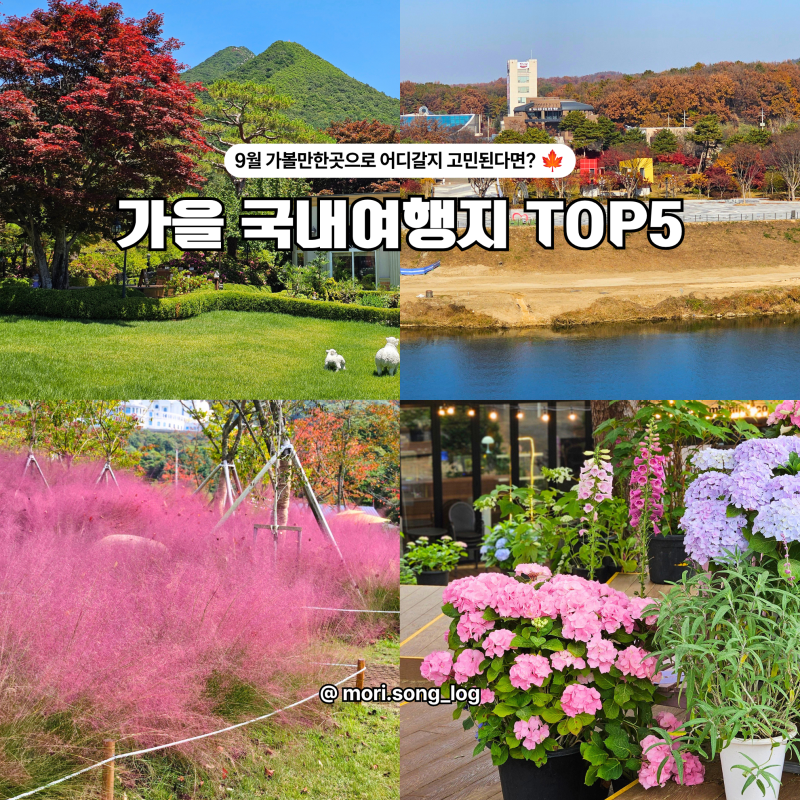 9月京畿道必訪景點，秋季國內旅遊地TOP5