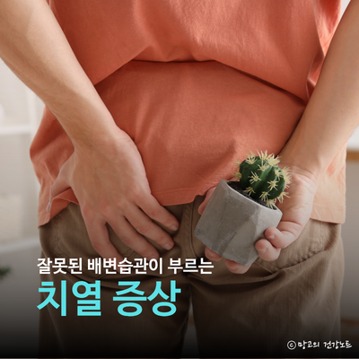 항문 찢어짐 피? 치열 증상 원인 치료 자연치유 예방법