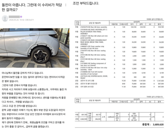 최고 인기 BYD 돌핀, 하지만 전 "이것" 때문에 구매 고민되요..