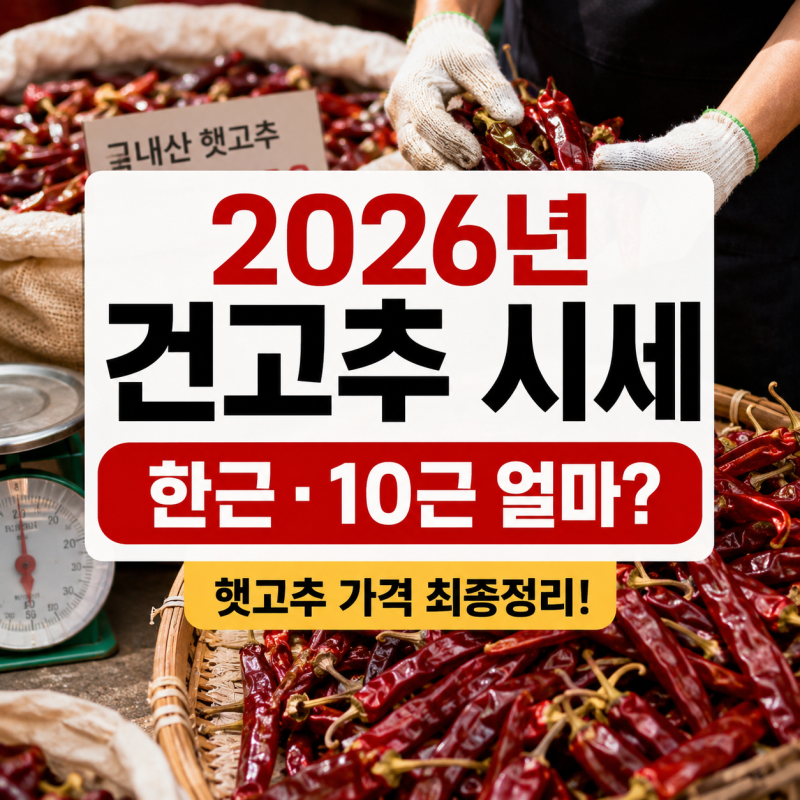 2026년 건고추 시세 얼마? 햇고추 한근 10근 최종정리