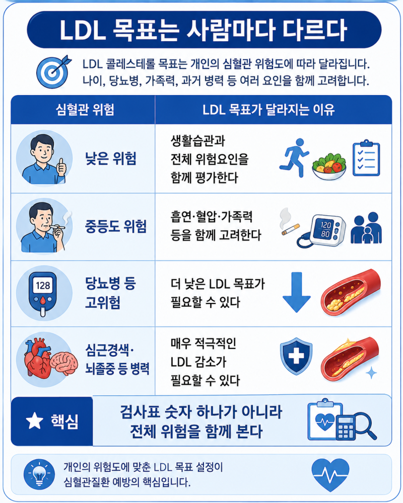 콜레스테롤 수치가 높으면 무조건 나쁠까? LDL·HDL·중성지방 제대로 보기
