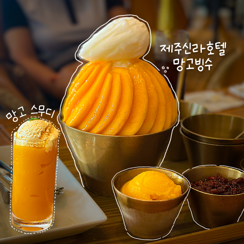 제주신라호텔 망고빙수 내돈내산 후기 웨이팅, 할인, 가격 총정리(예약 ❌)
