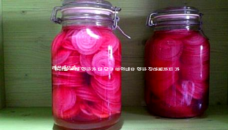 자색양파 피클 자색양파 효능 항암 효과, 면역력 강화, 피부 미용, 혈관 건강에 도움
