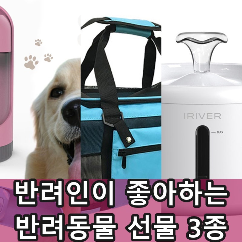 반려인 직원·고객이 진짜 좋아하는 반려동물 선물 3종 (산책물통·외출가방·자동급수기, 로....